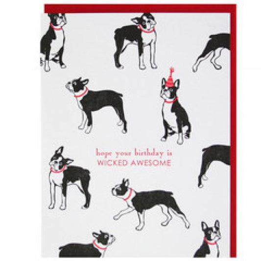Boston Terrier Wicked Birthday