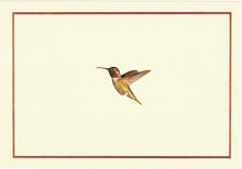 Hummingbird FlightNotes - Box of 14