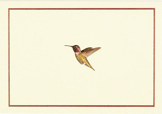 Hummingbird FlightNotes - Box of 14