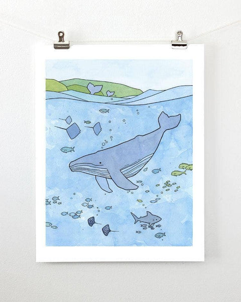 Humpback Whale Print, Tropical Ocean Illustration: 11x14 (no mat)