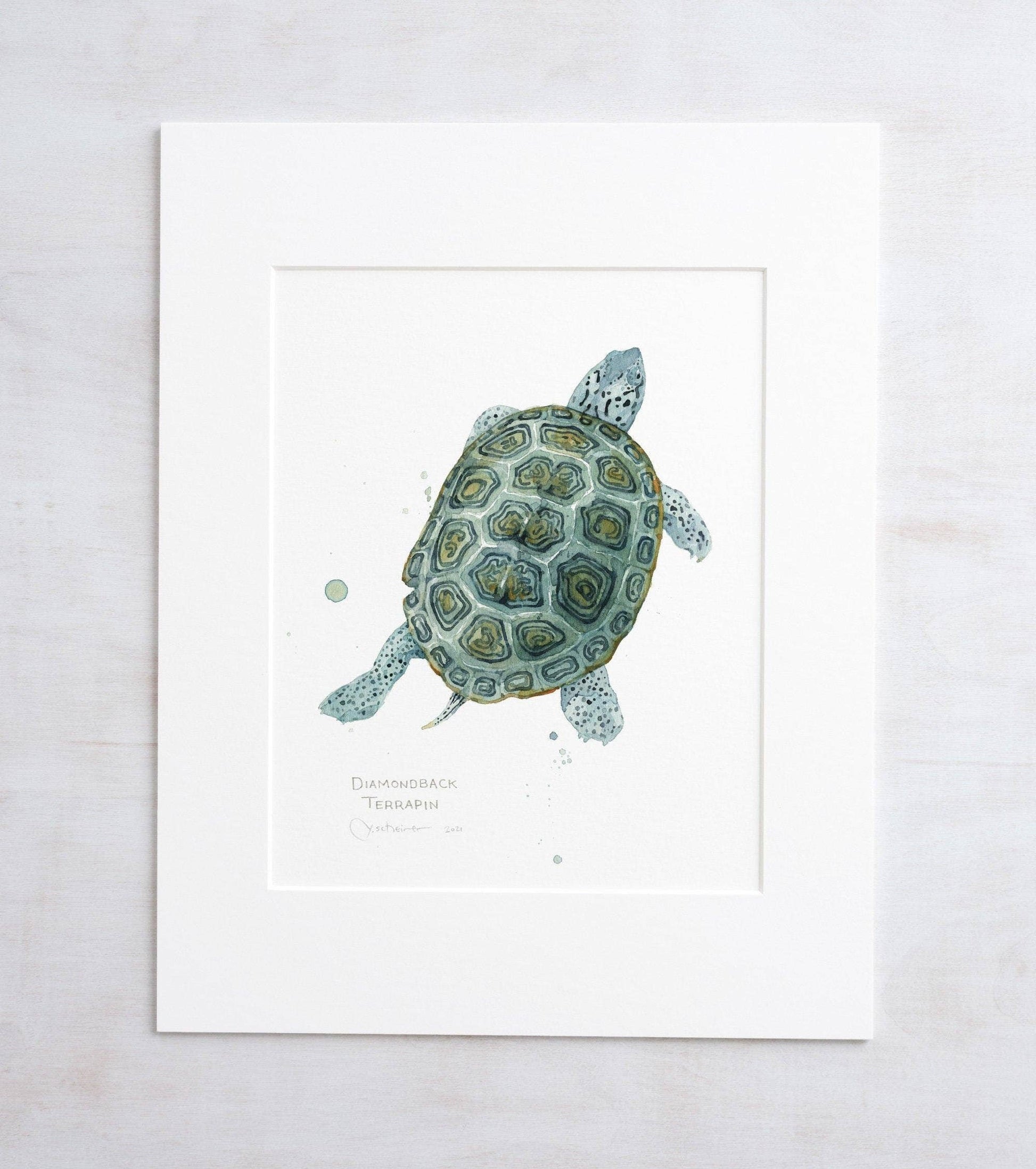 Watercolor print of a diamondback terrapin