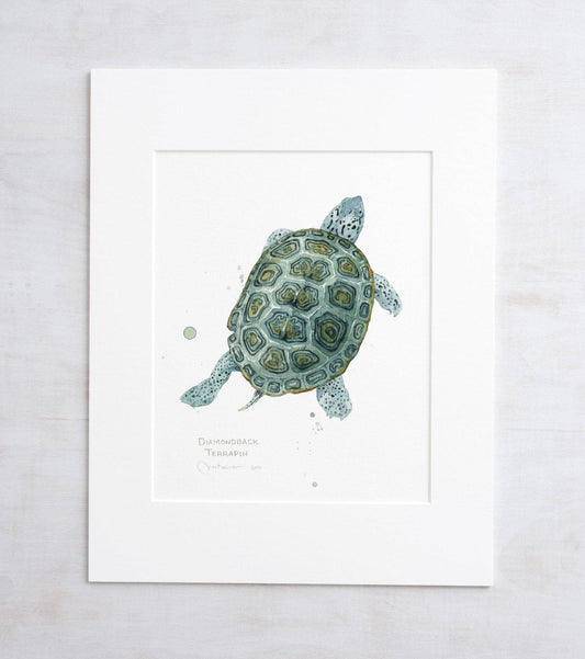 Watercolor print of a diamondback terrapin