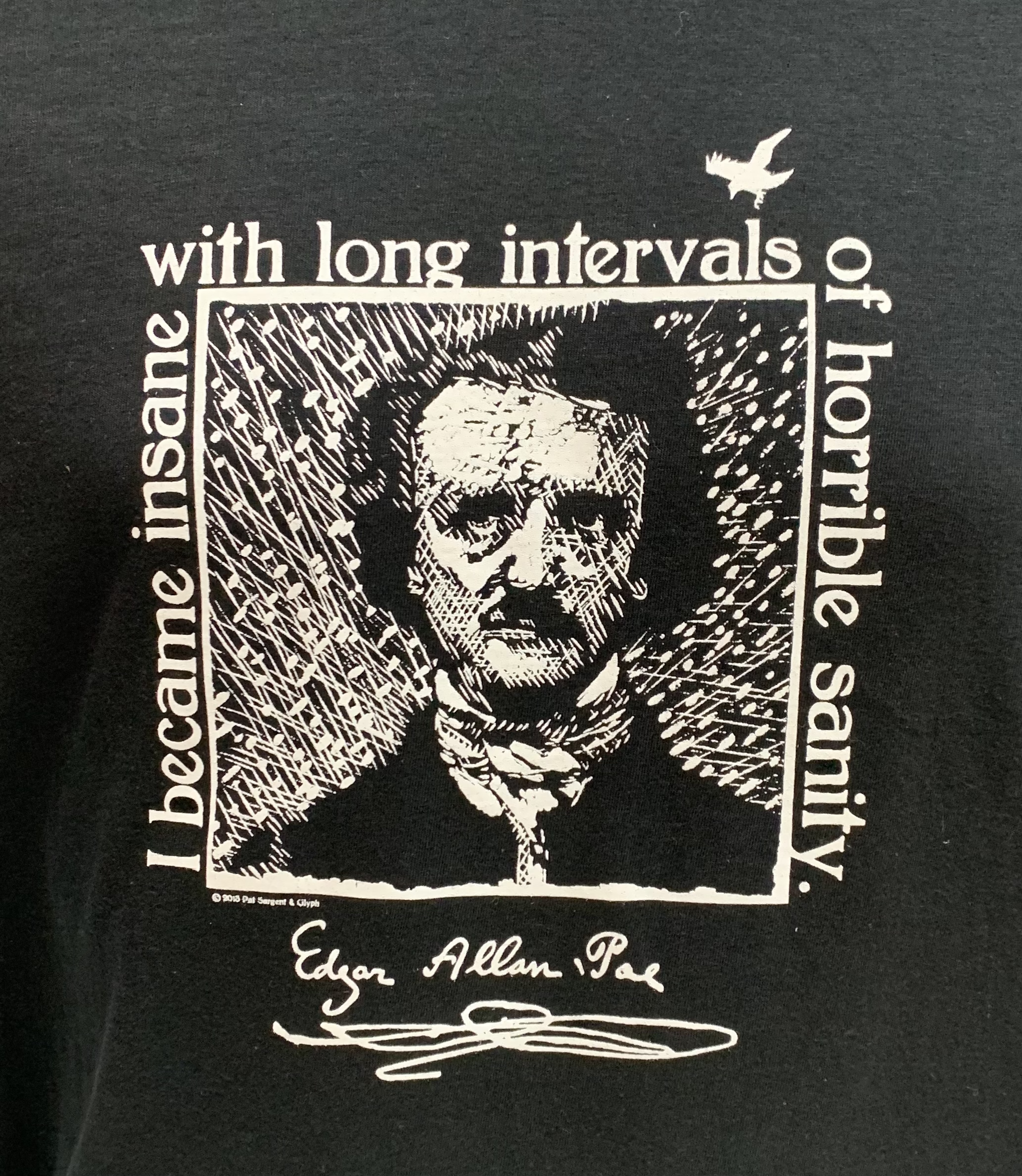 Poe Insanity T-Shirt
