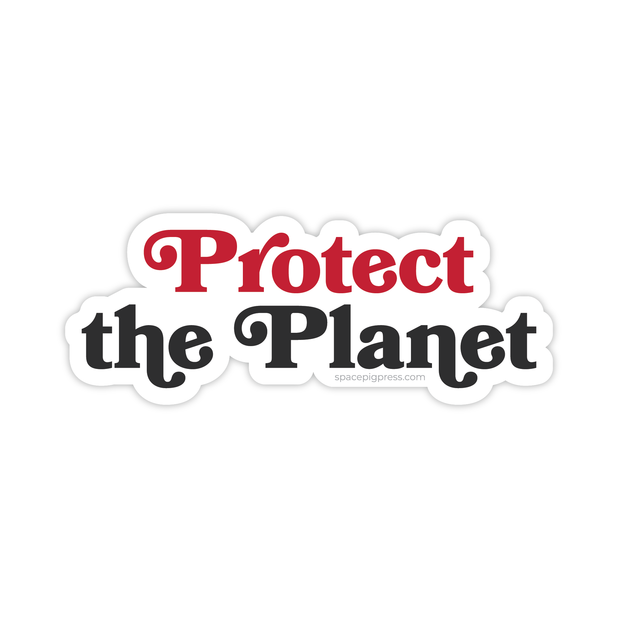 Protect the Planet | Vinyl Sticker