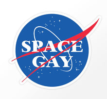 Space Gay NASA Logo 3