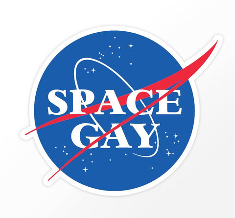 Space Gay NASA Logo 3" Vinyl Sticker