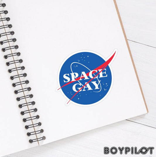 Space Gay NASA Logo 3" Vinyl Sticker